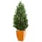 5ft. Bay Leaf Topiary Tree in Orange Planter